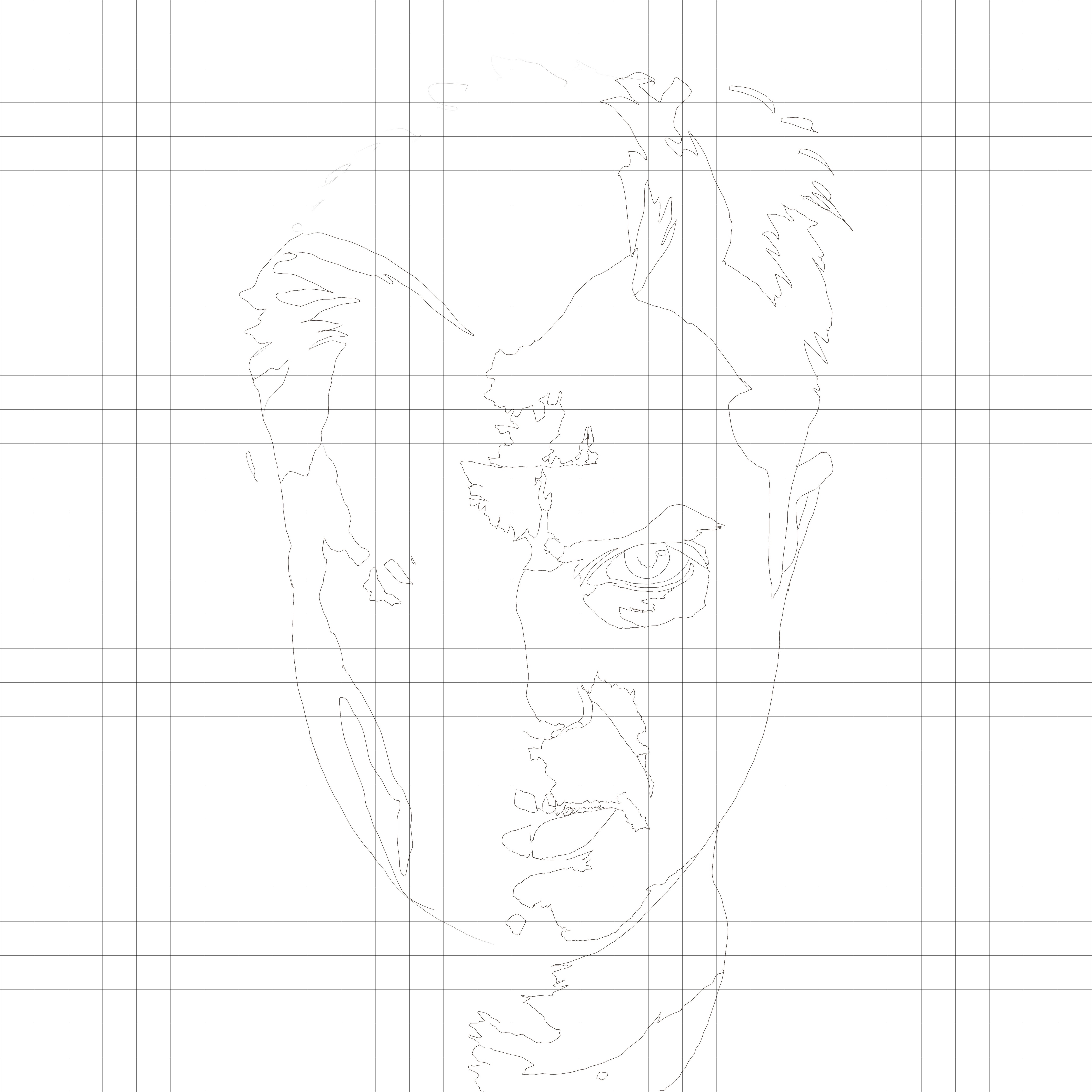 Self Portrait Sketching Diagram.JPG