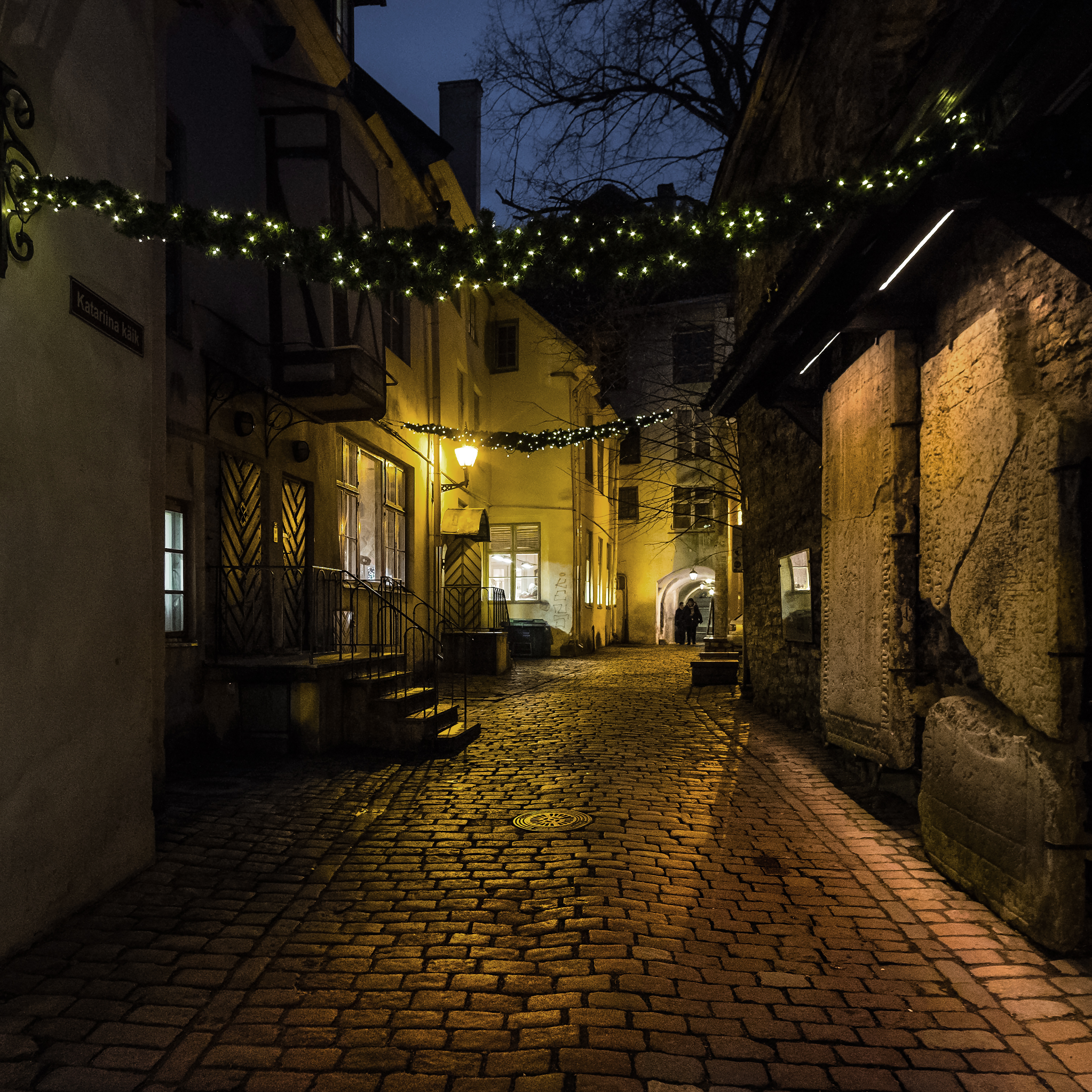 Night in Town Reference Photo.jpg