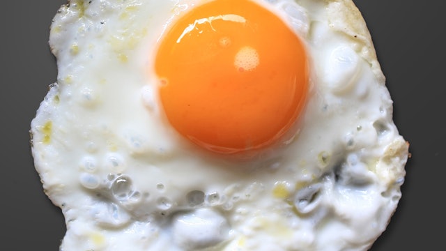 Fried Egg Reference Photo.jpg