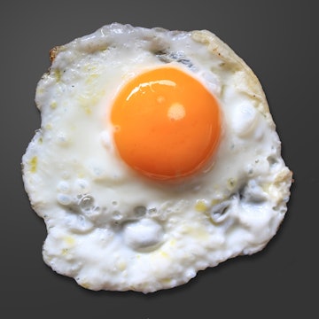 Fried Egg Reference Photo.jpg