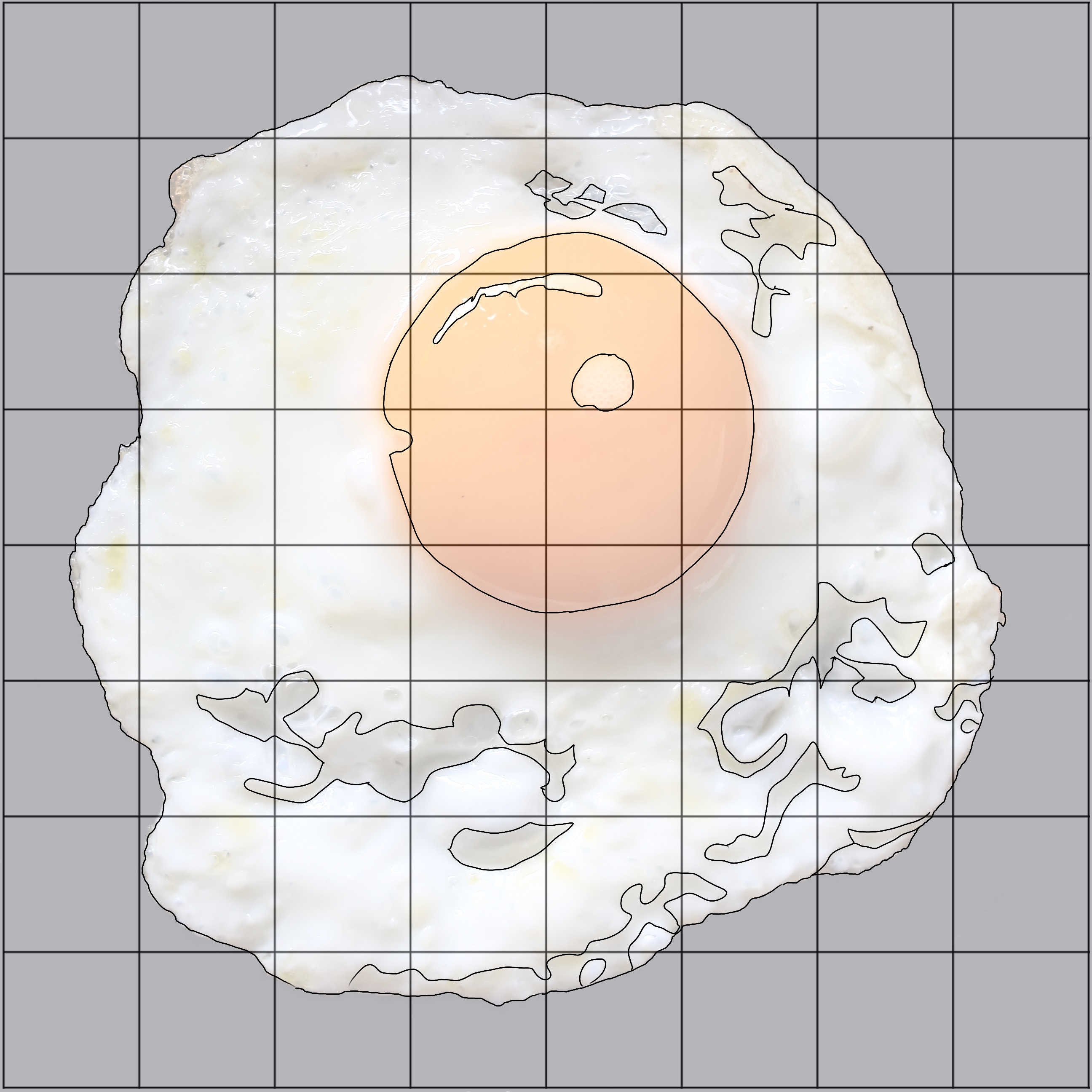 Fried Egg Sketching Diagram.jpg