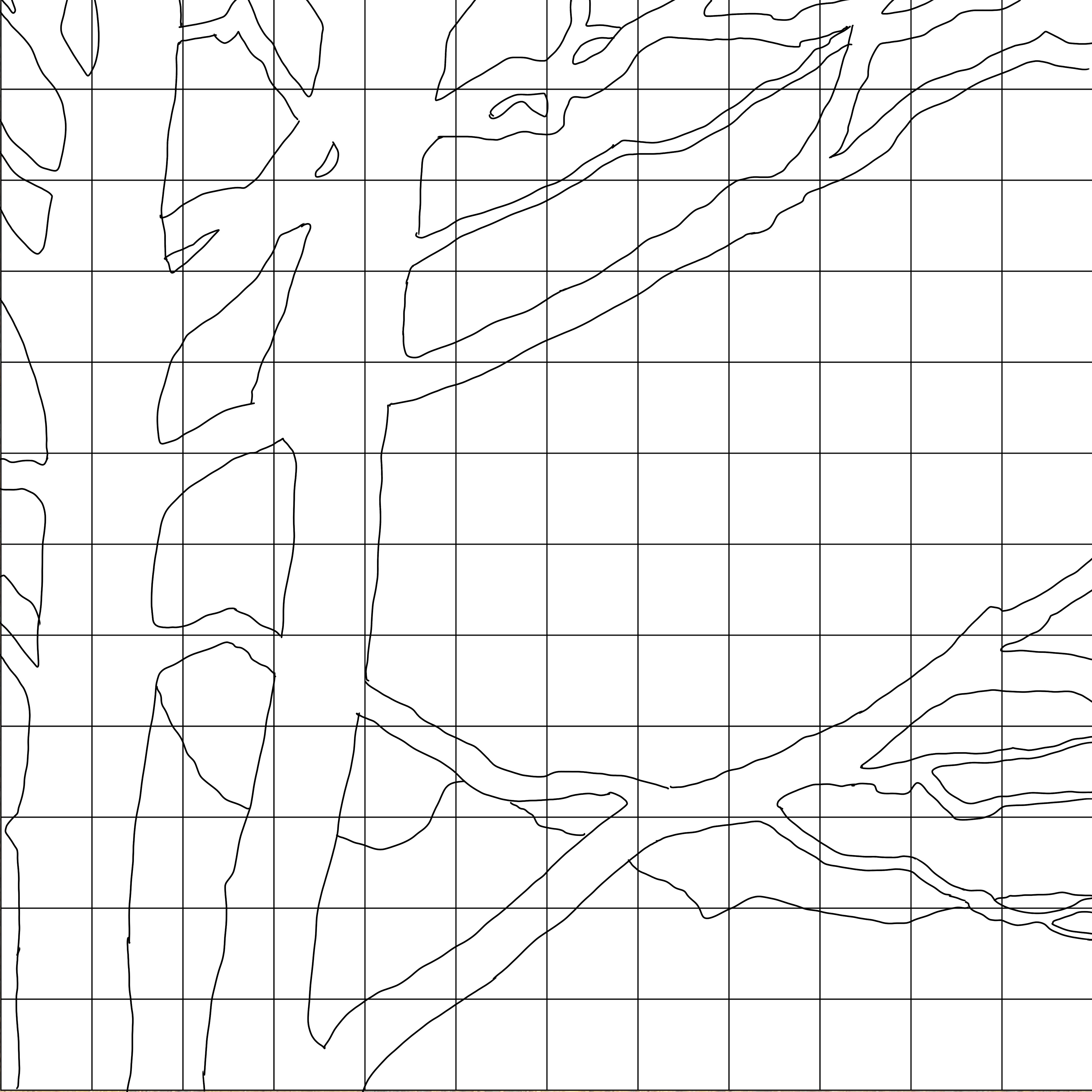 Tree Branch Study Sketching Diagram