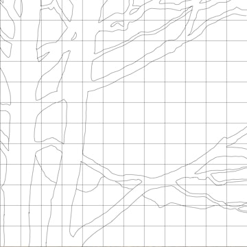 Tree Branch Study Sketching Diagram