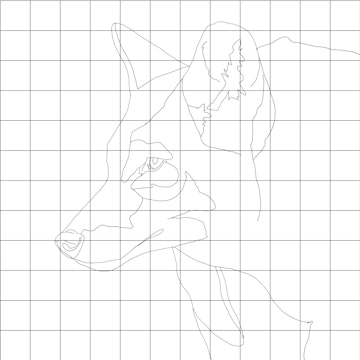 Coyote Sketching Diagram.jpg
