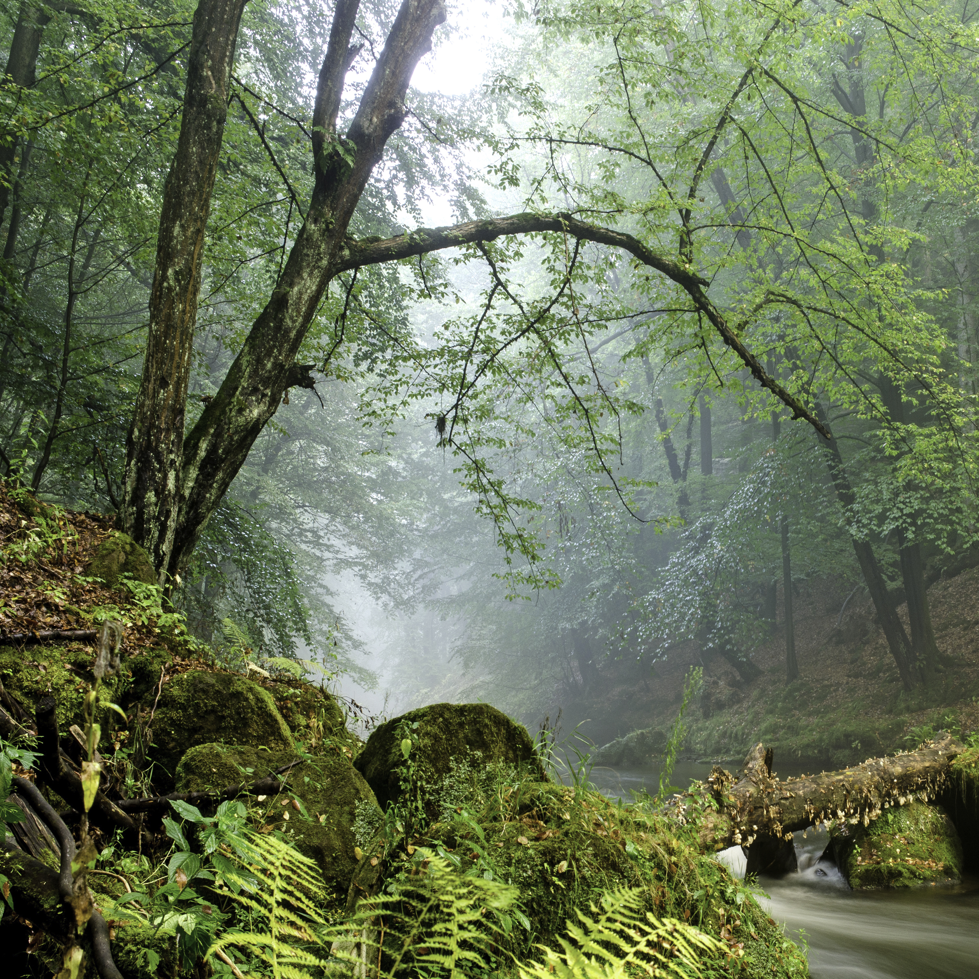 Mystic River Reference Photo.jpg