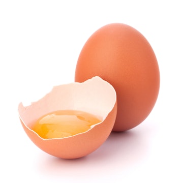 Beginners Egg Reference Photograph.jpg