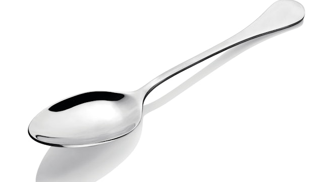 Beginners Spoon Reference Photograph.jpg