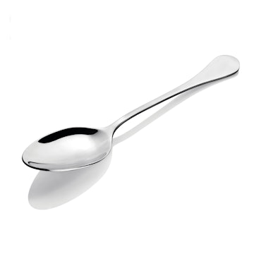 Beginners Spoon Reference Photograph.jpg