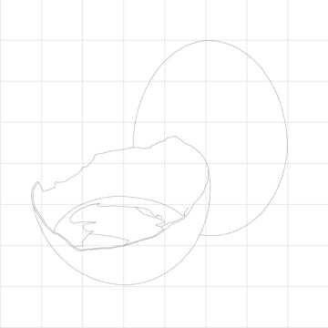 Beginners Egg Sketching Diagram 1.jpg