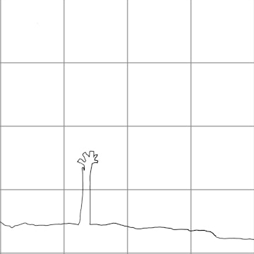 Beginners Tree Sketching Diagram.jpg