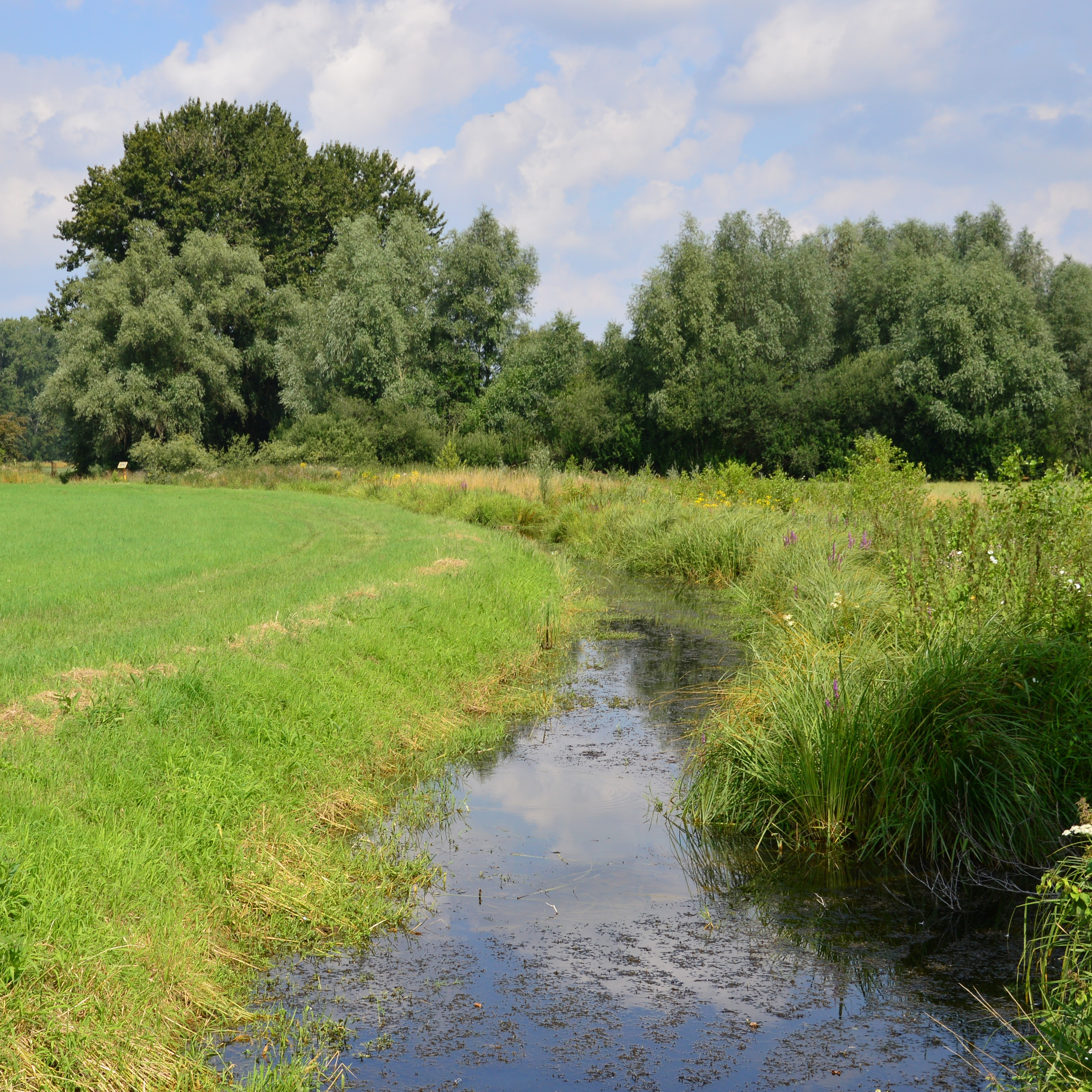 River Meander Reference Photograph
