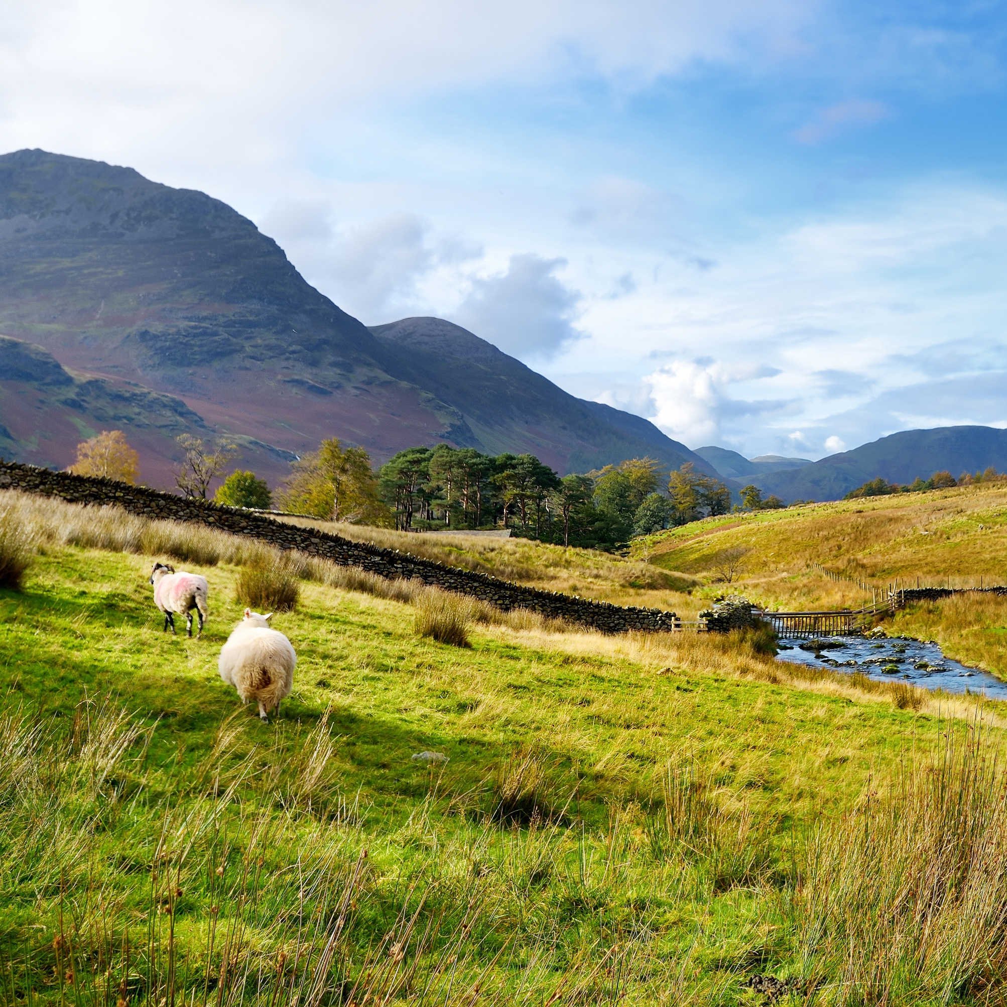 Landscape Reference Photograph.jpg