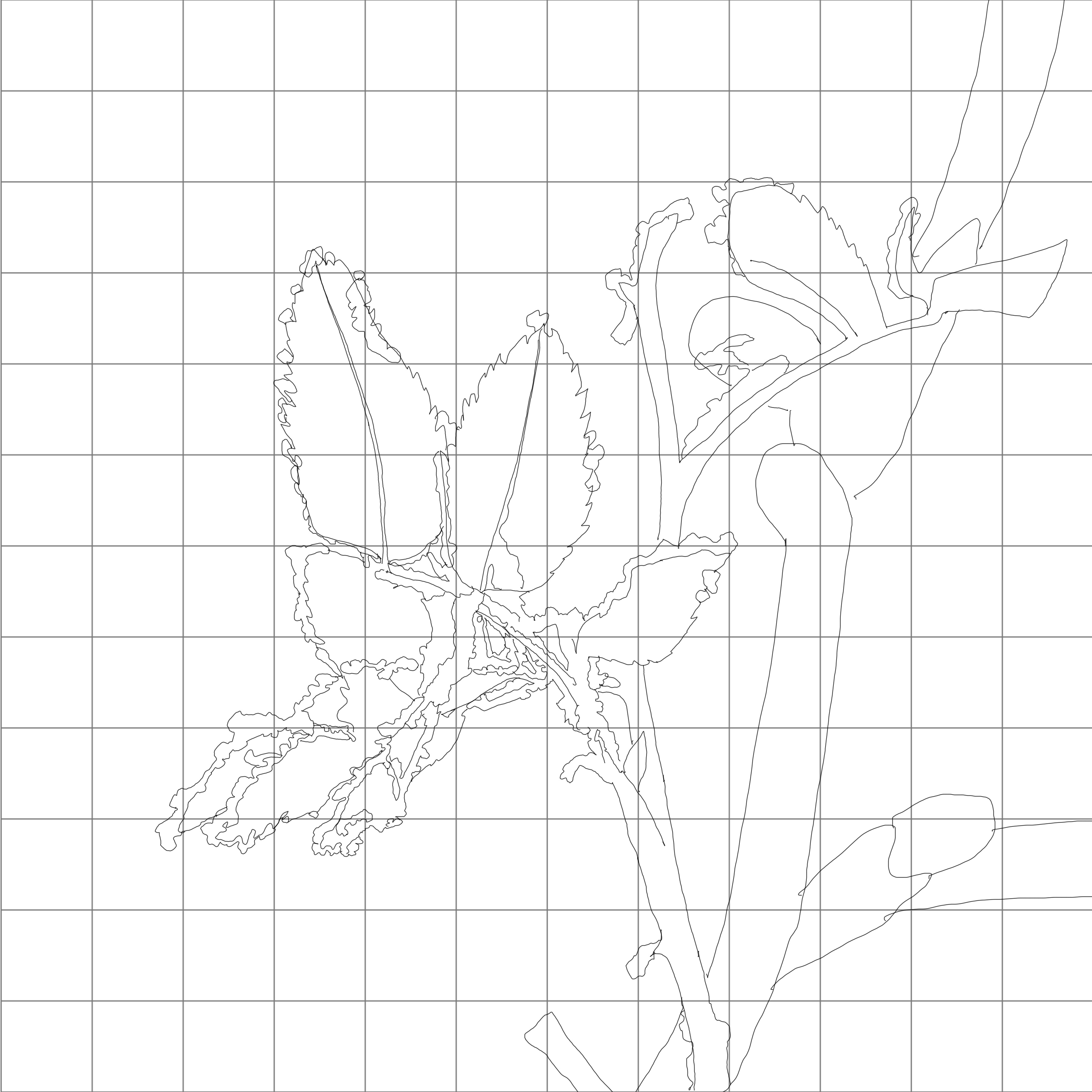 Frosty Foliage Sketching Diagram.jpg