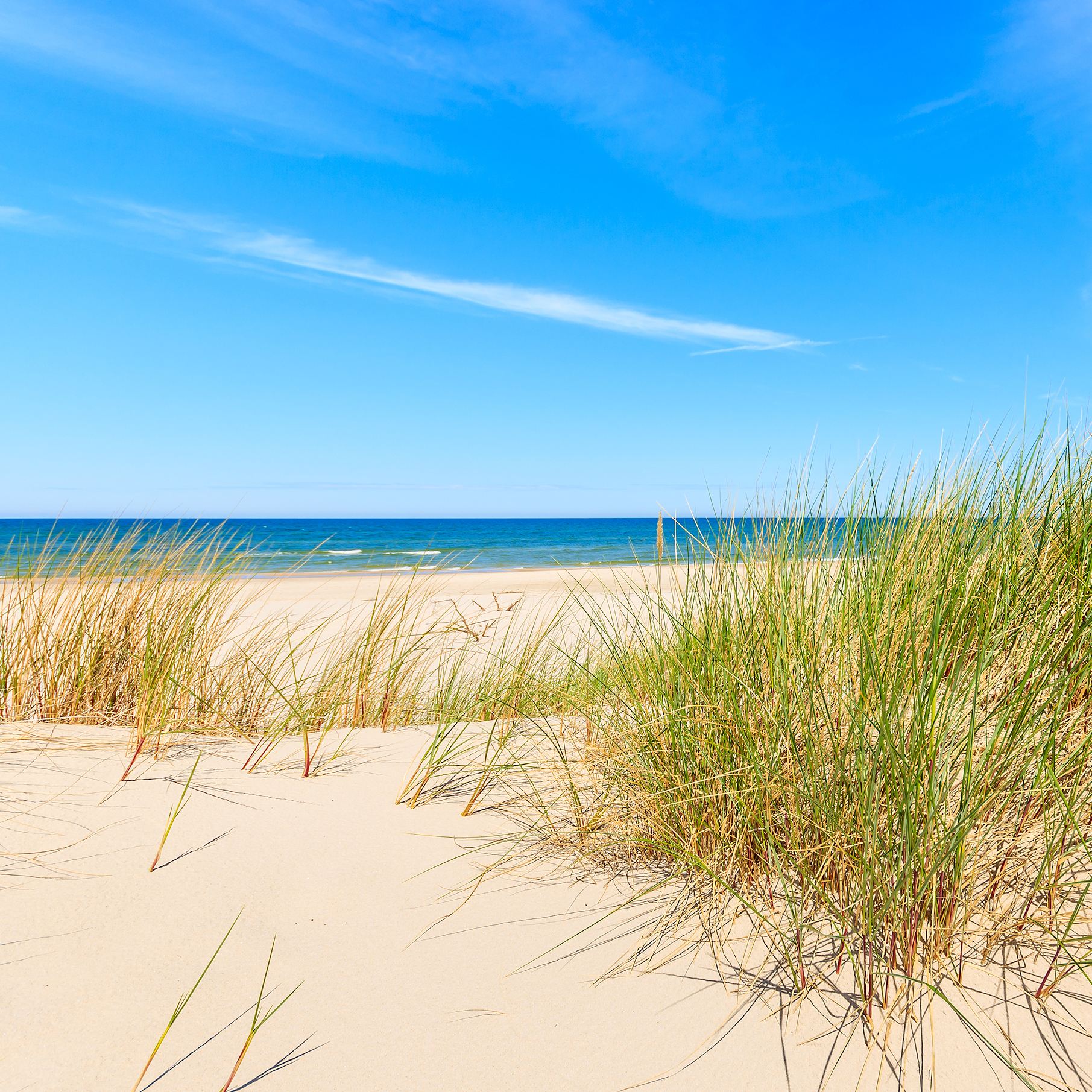 Beach Reference Photograph.jpg