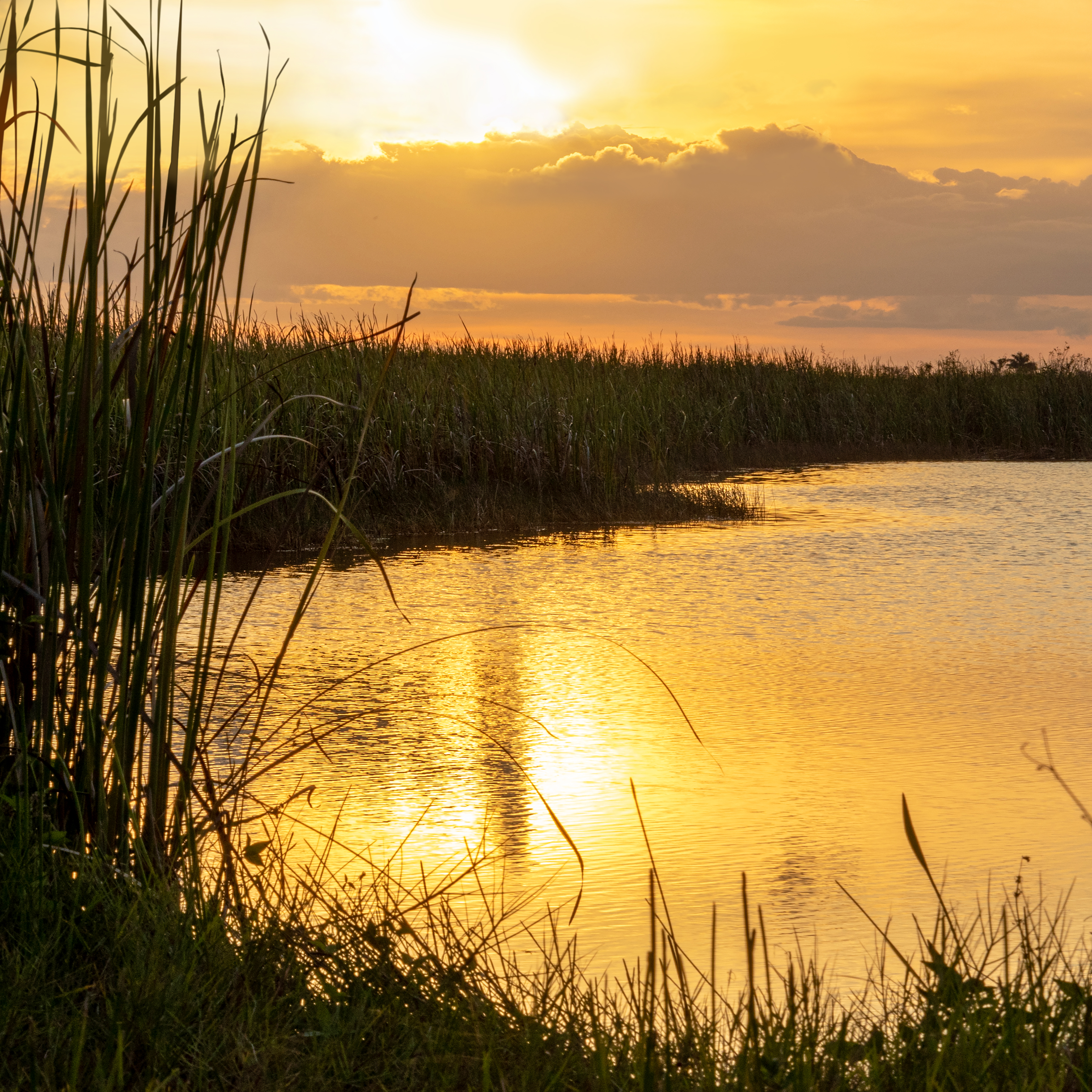 Everglade Sunset Reference Photo.jpg