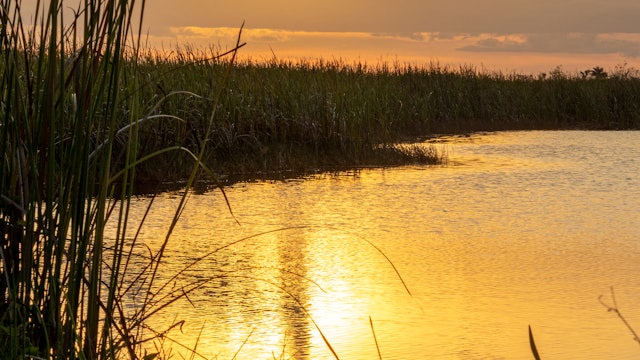 Everglade Sunset Reference Photo.jpg