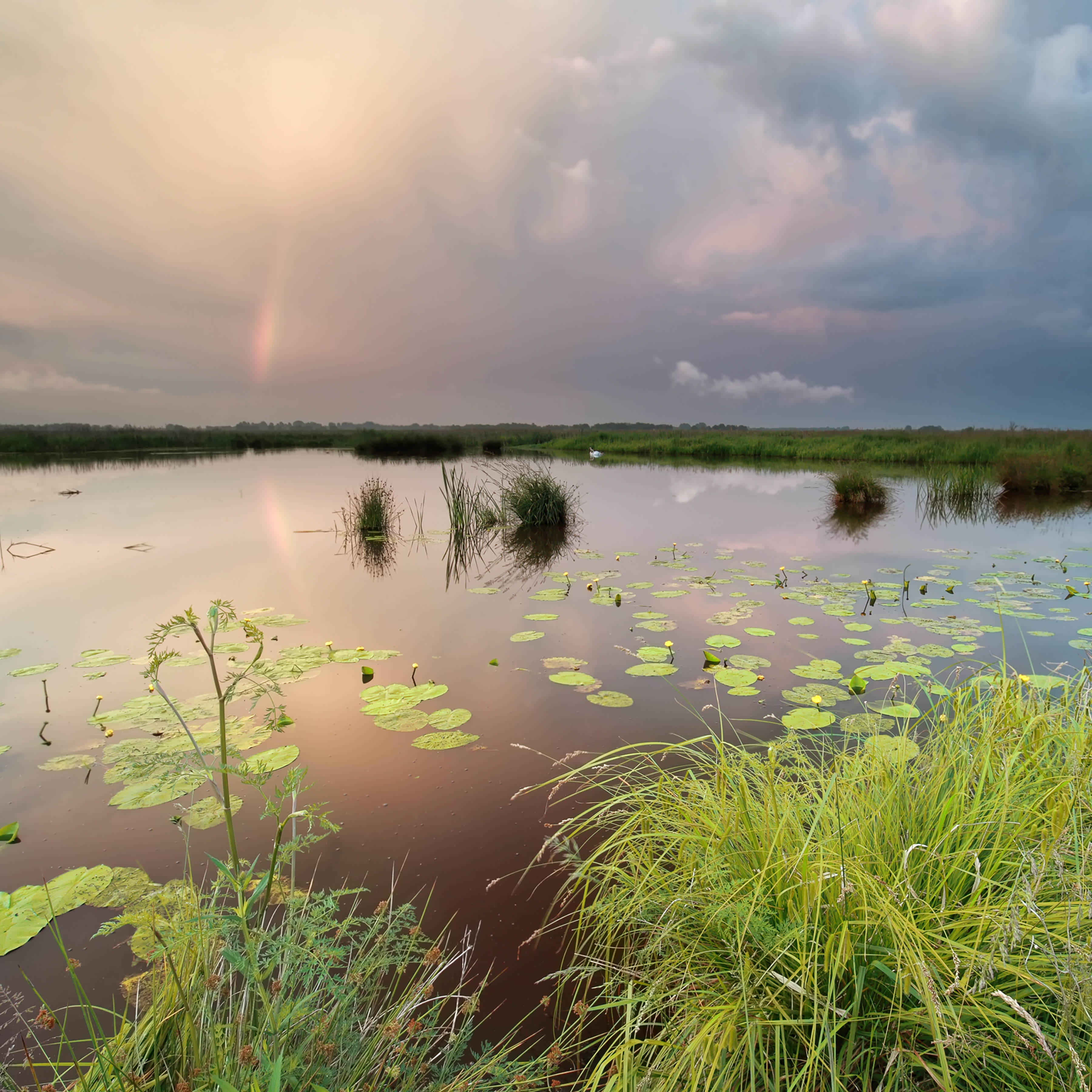Stormy Lake Reference Photograph.jpg