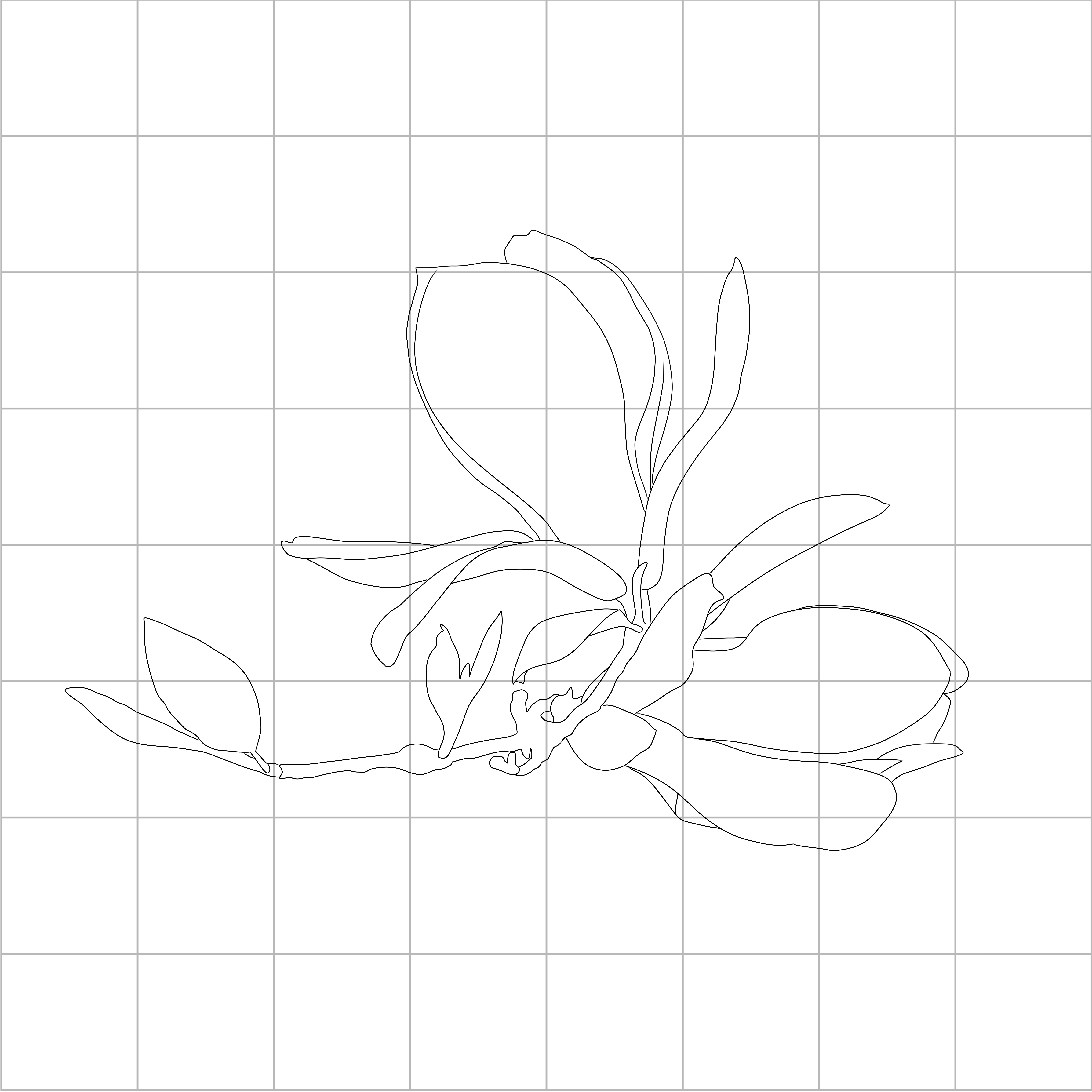 Beginners Magnolia Sketching Diagram 1.jpg