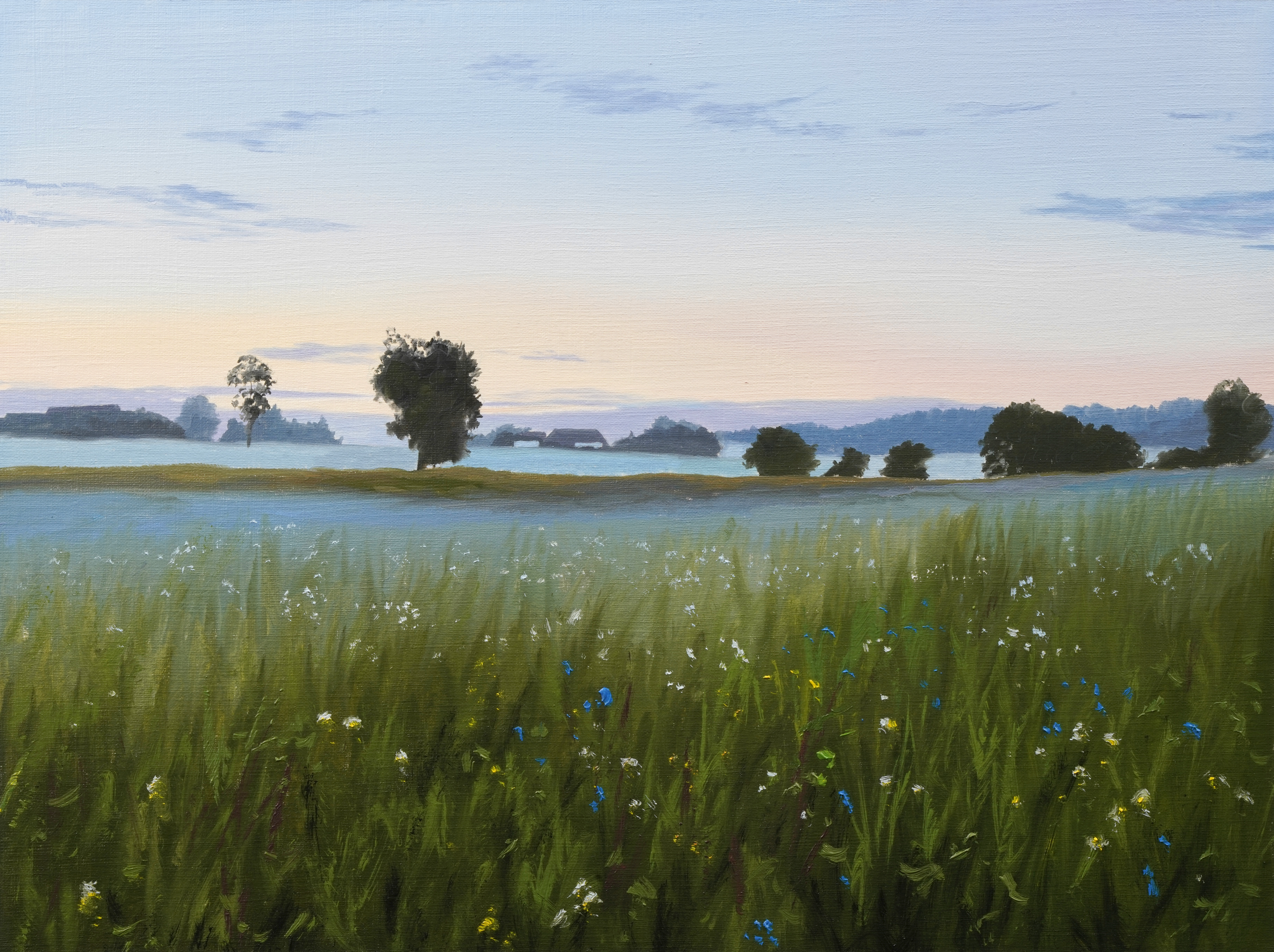 Misty Landscape Reference Photograph.jpg