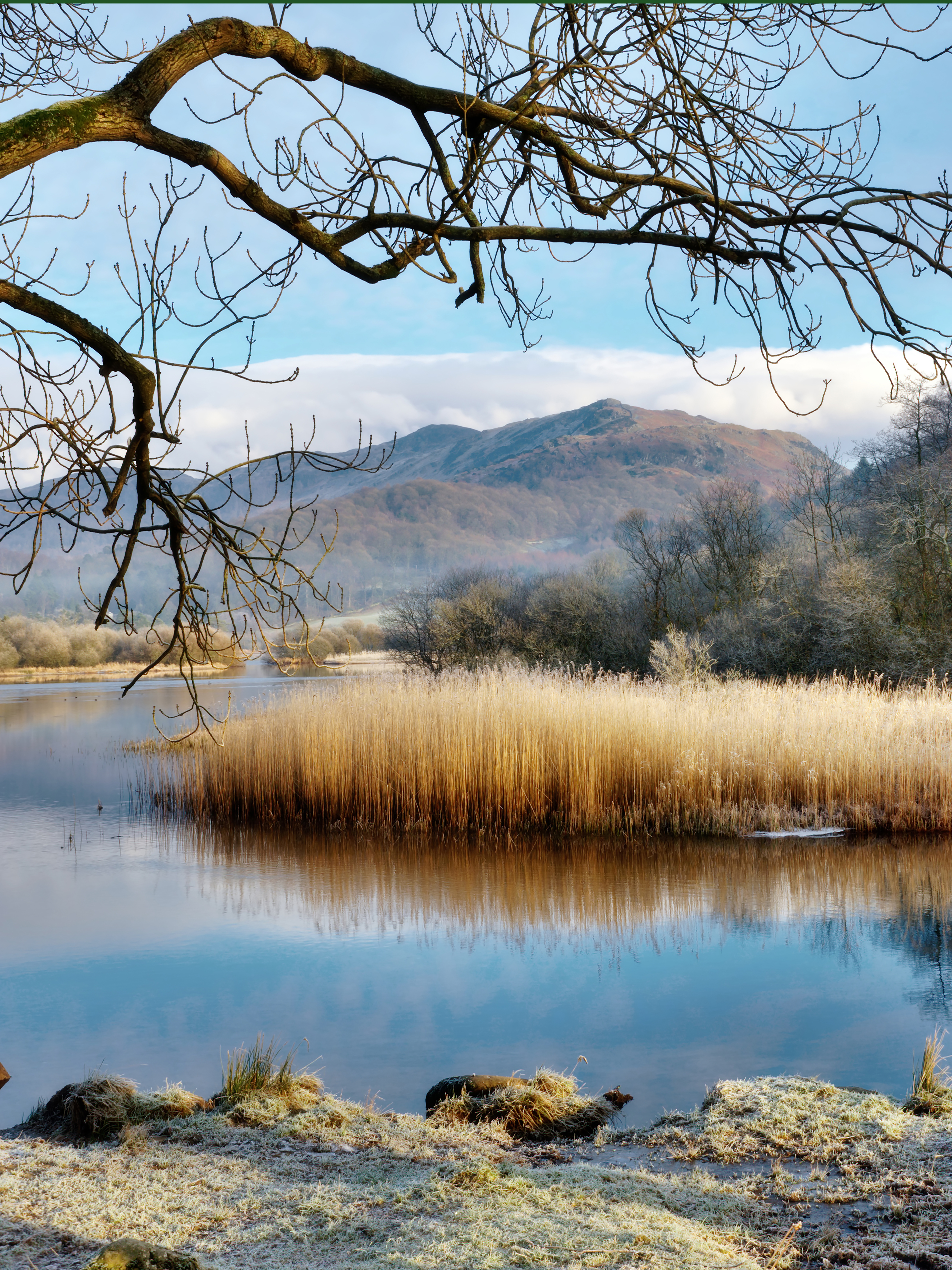 Winter Lake Reference Photo.jpg