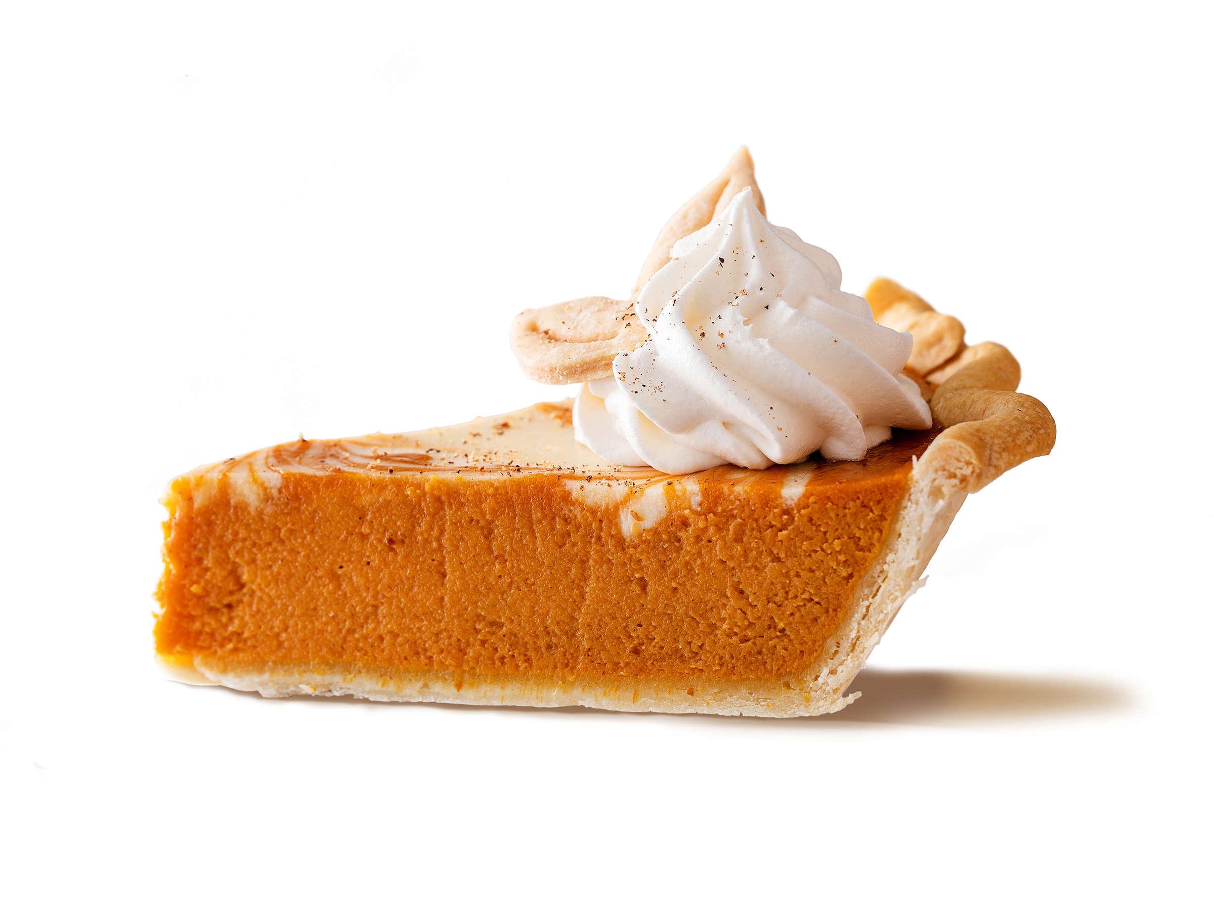 Pumpkin Pie Reference Photo.jpg
