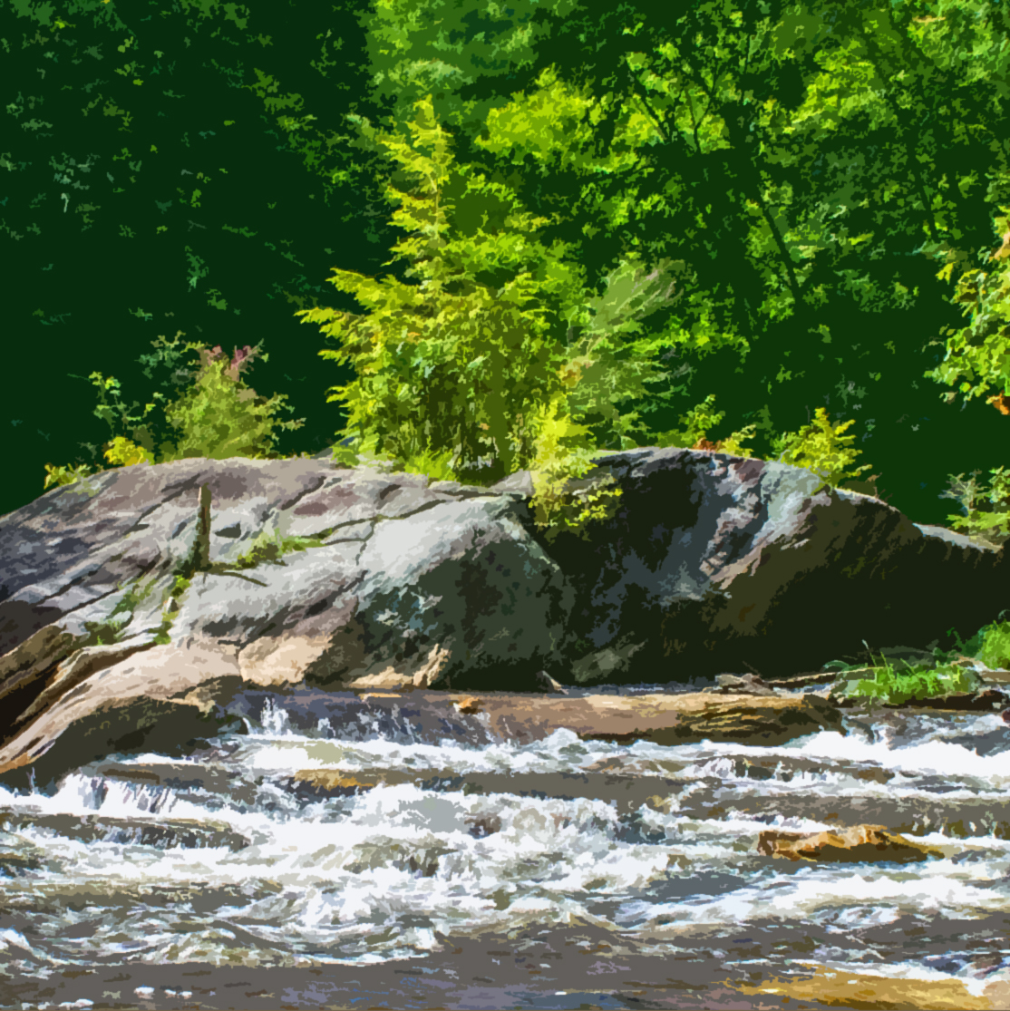 Rocky Brook Reference photo.jpg