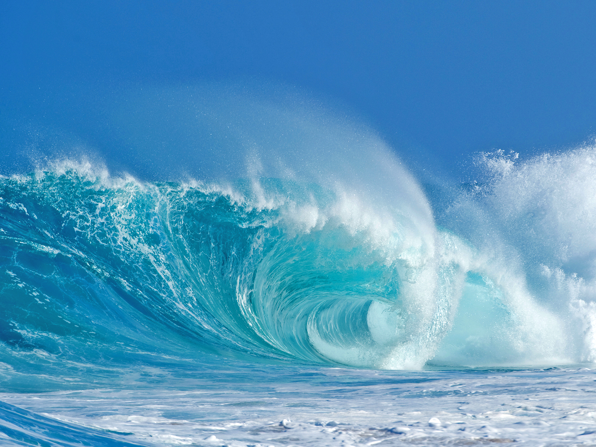 Ocean's Embrace Reference Photo.jpg