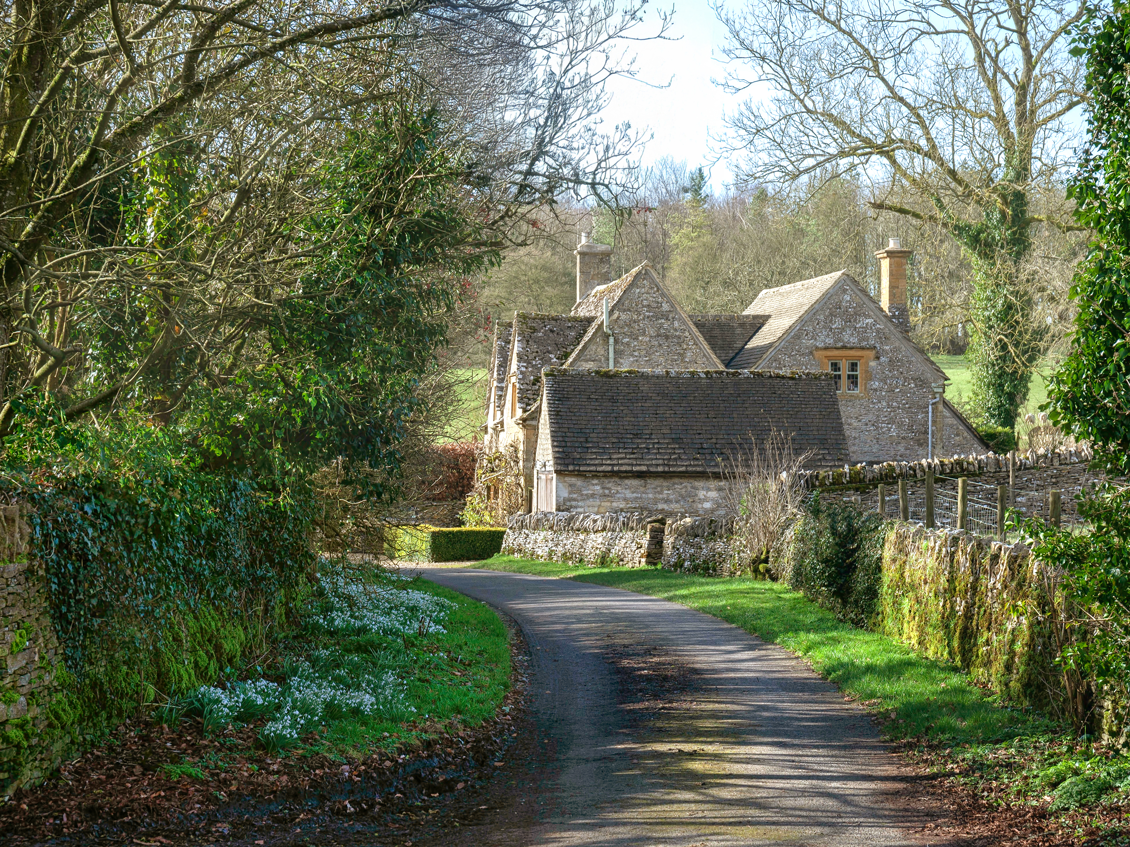 Whispers of Spring Reference Photo.jpg