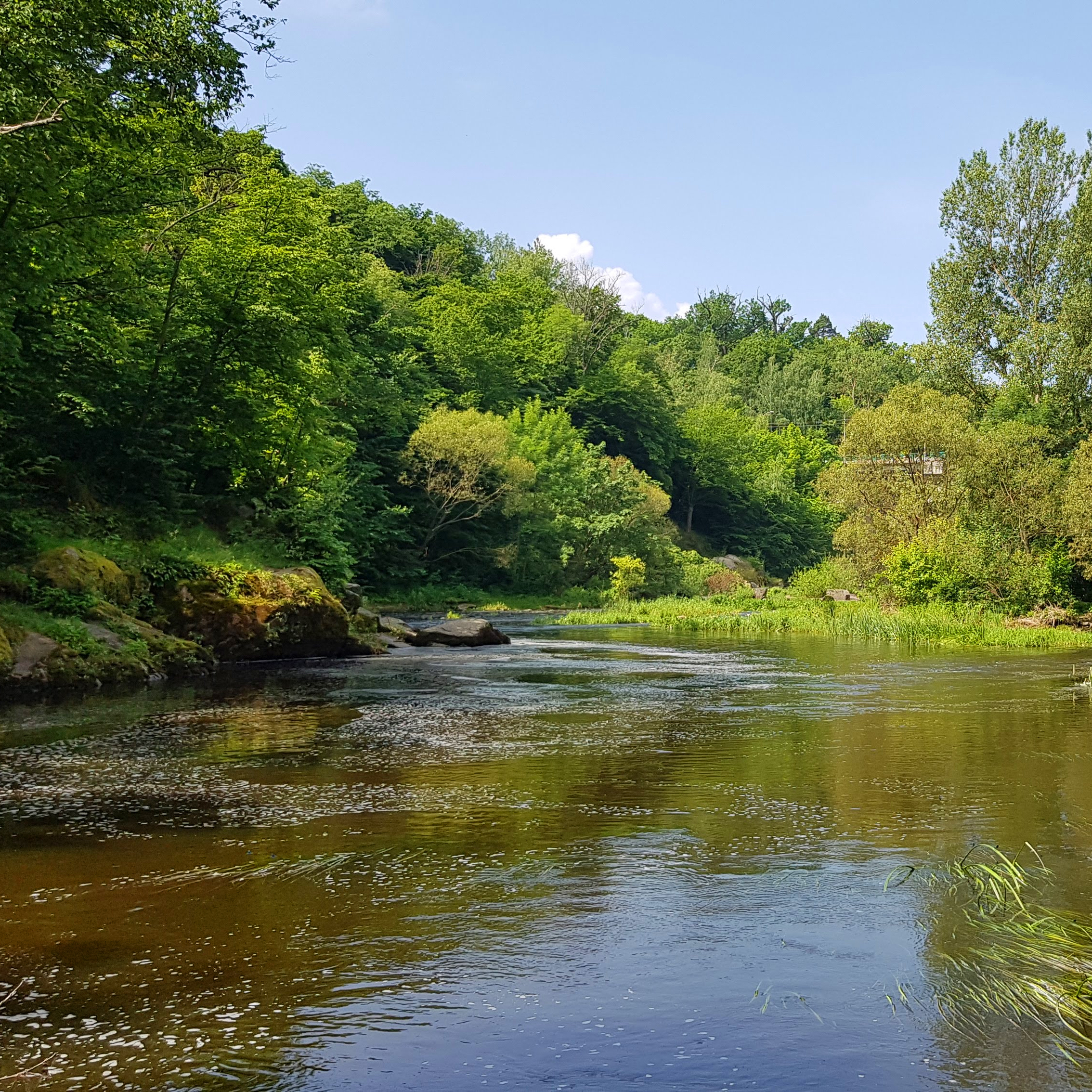 River Dreams Reference Photo.jpg