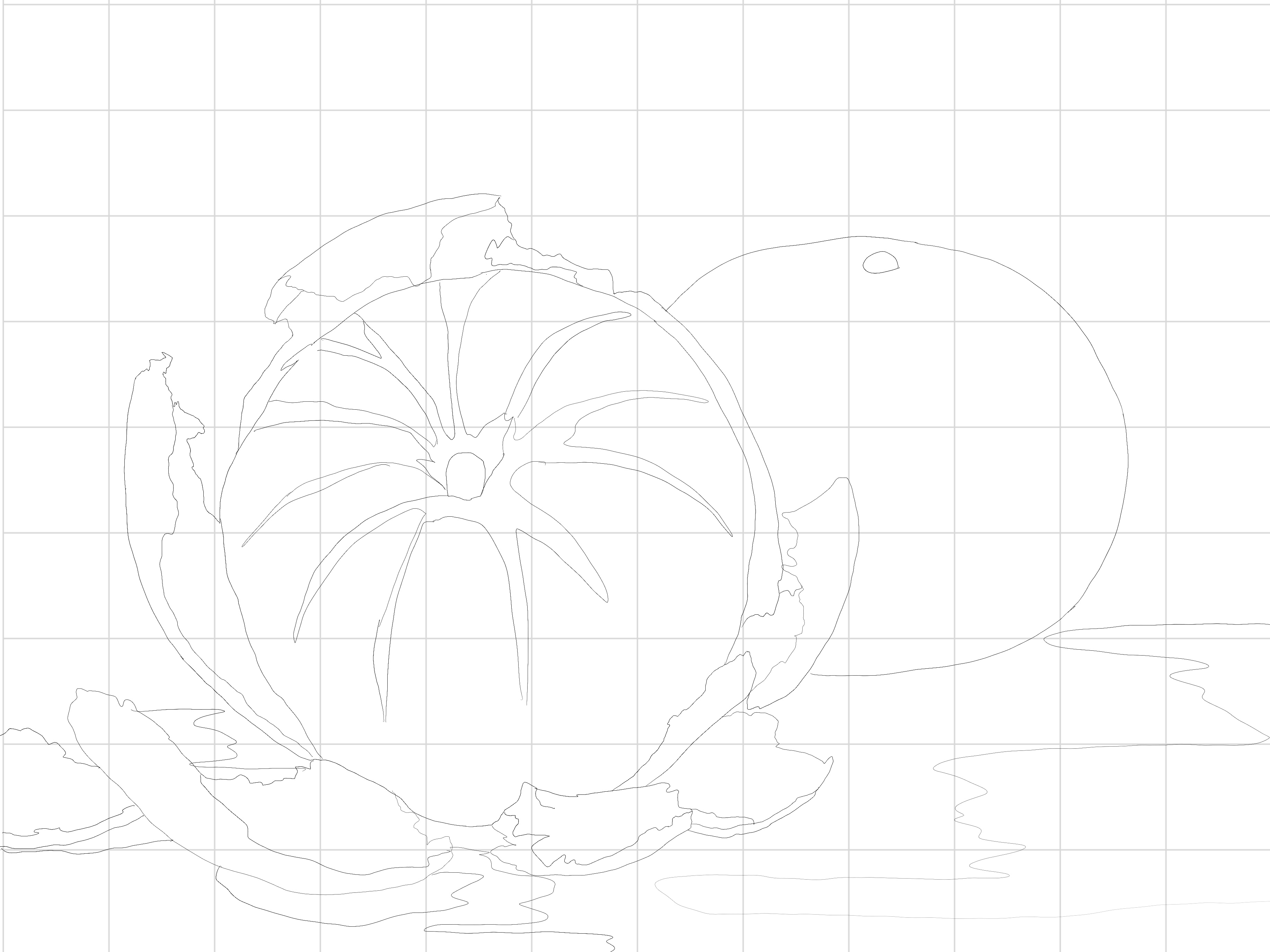 Peel and Pause Sketching Diagram.jpg