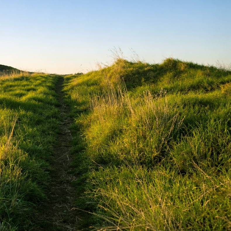 Painting natural looking grass reference photo.jpg