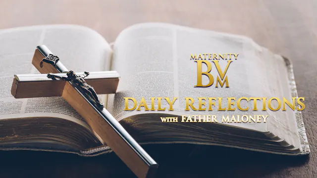 DAILY REFLECTIONS WITH FATHER MALONEY