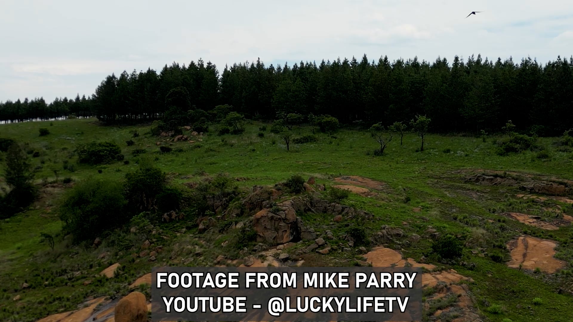 Mike Parry Ep04 Giant Footprint Nov 2025