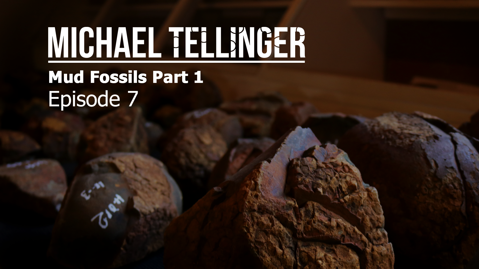 EP 7 - Mud Fossils Part 1