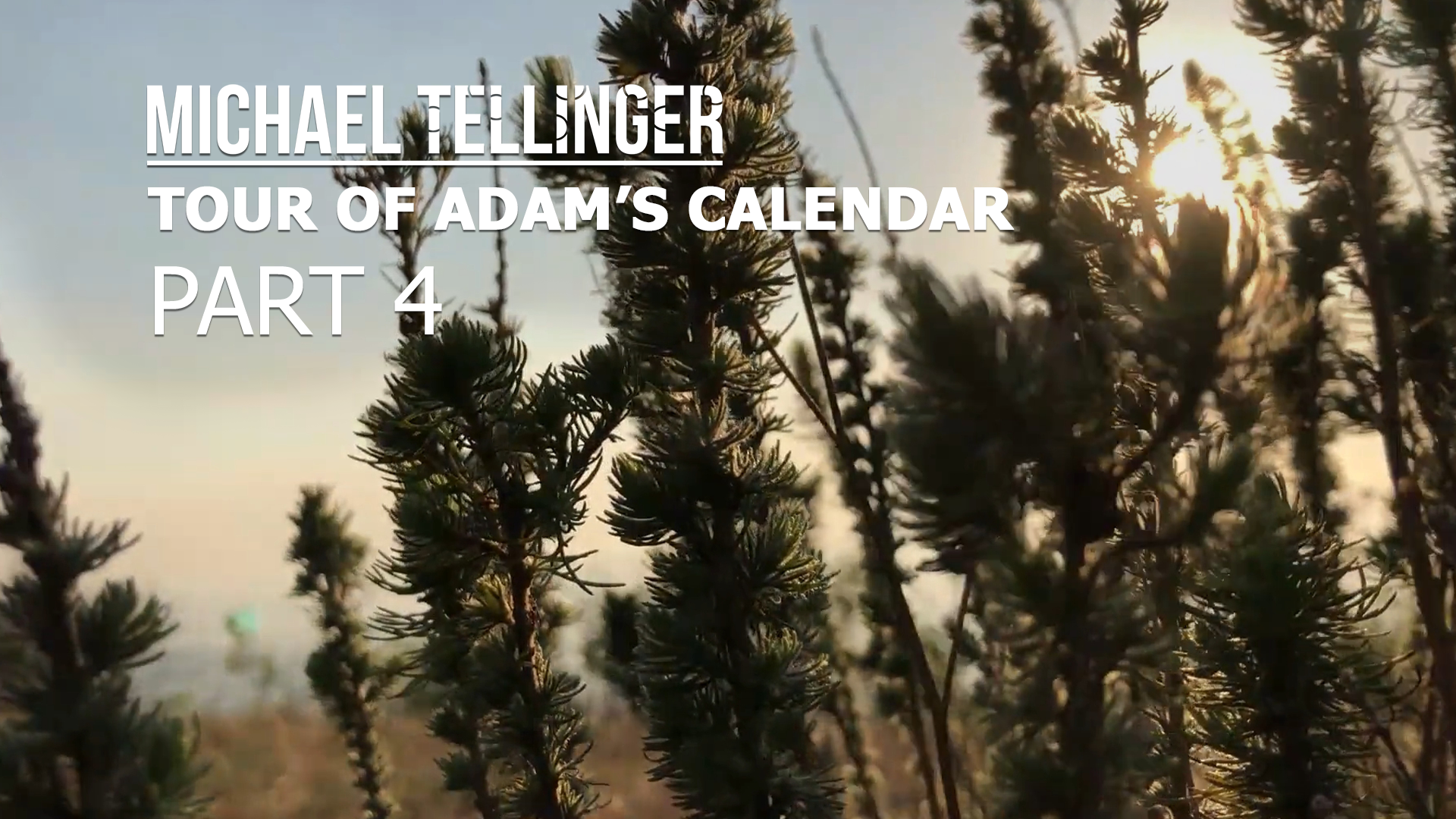 EP 95 - Tour of Adams Calendar Part 4 - The Road to Adams Calendar P2