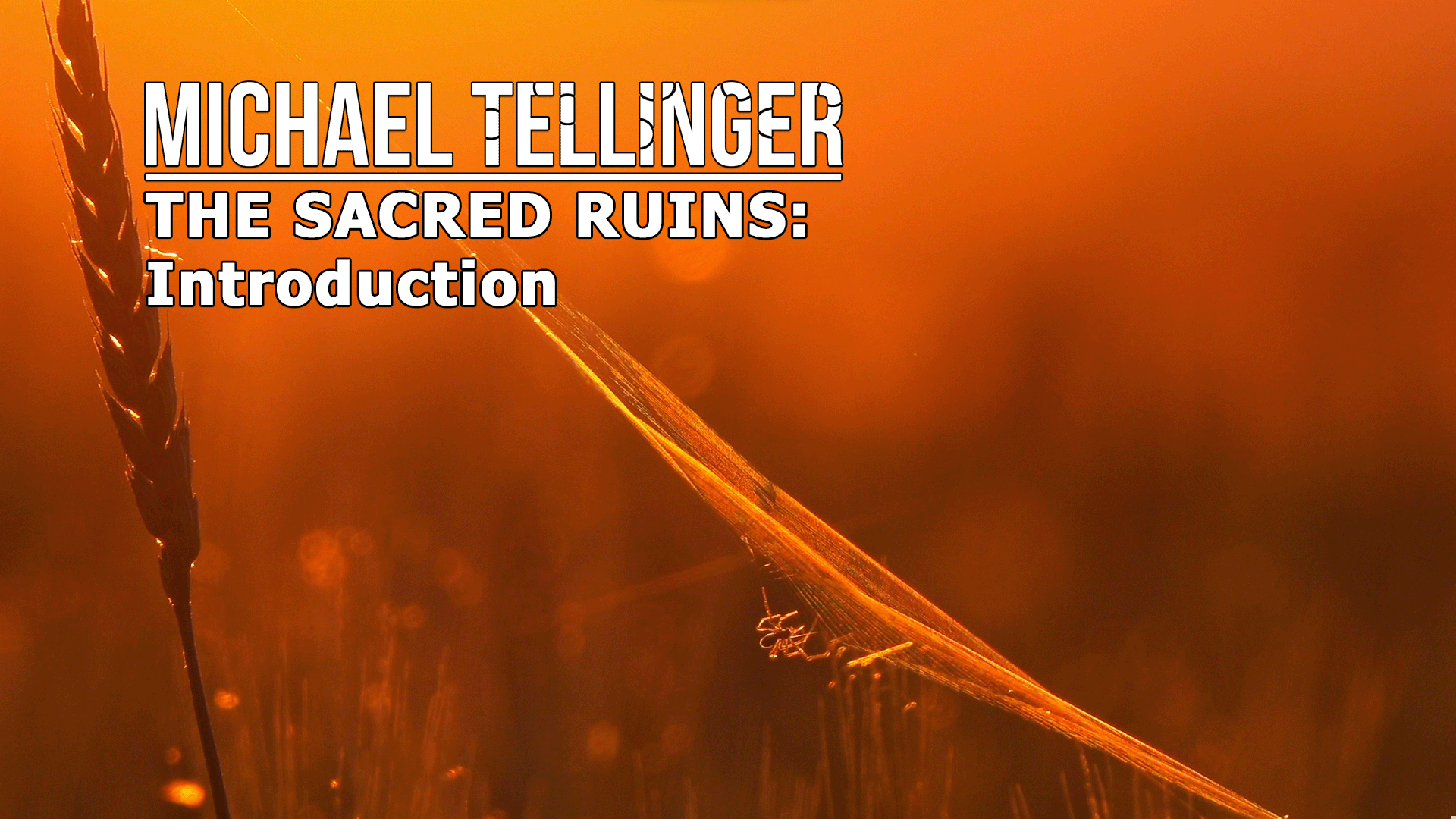 THE SACRED RUINS: Introduction