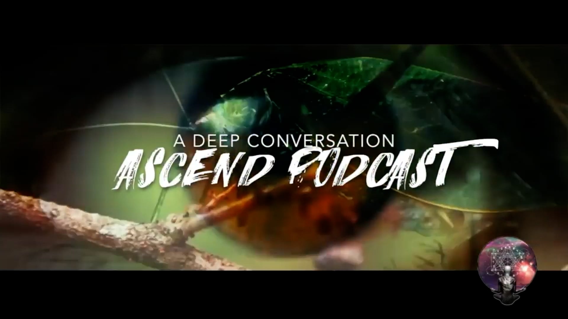 How To Build A New Earth Episode 03