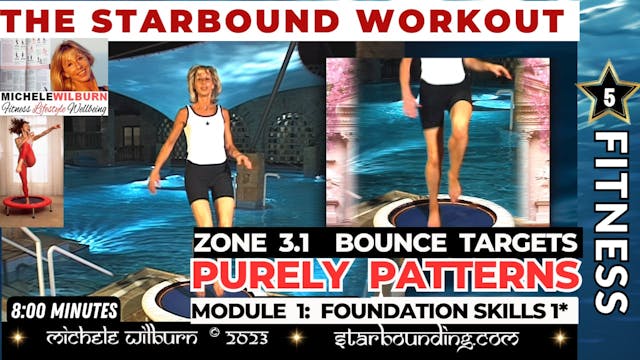  MODULE ONE Zone 3. 1 PURELY PATTERNS...