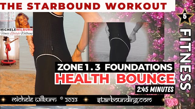 Zone 1.3 LYMPHATIC HEALTH BOUNCE Mini...
