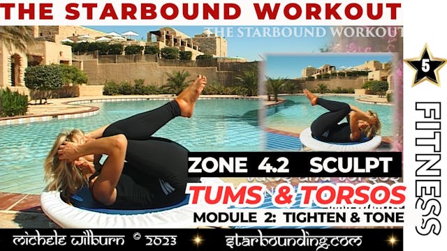 MODULE TWO Zone 4:2 TUMS & TORSOS SCU...