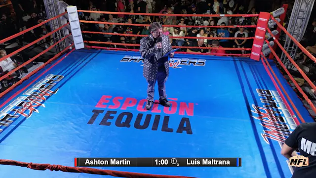 AshtonMartinvsLuisMaltrana