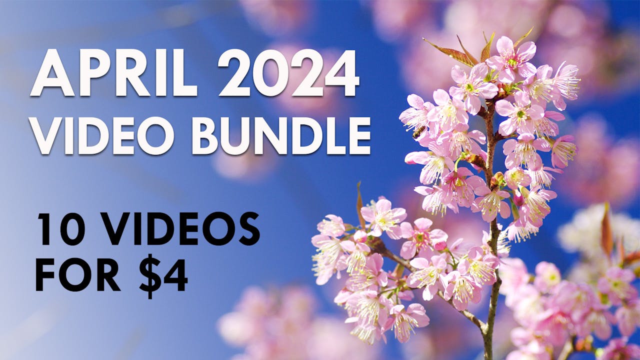 April 2024 Video Bundle
