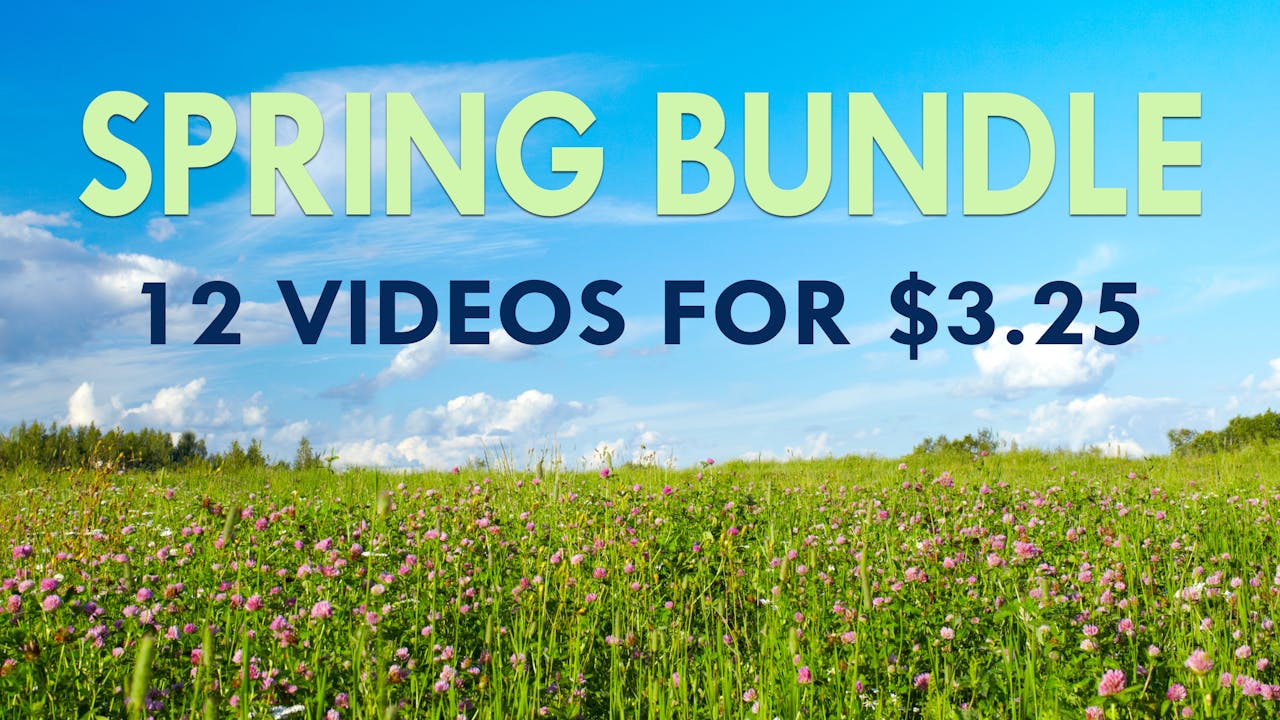 Spring Video Bundle