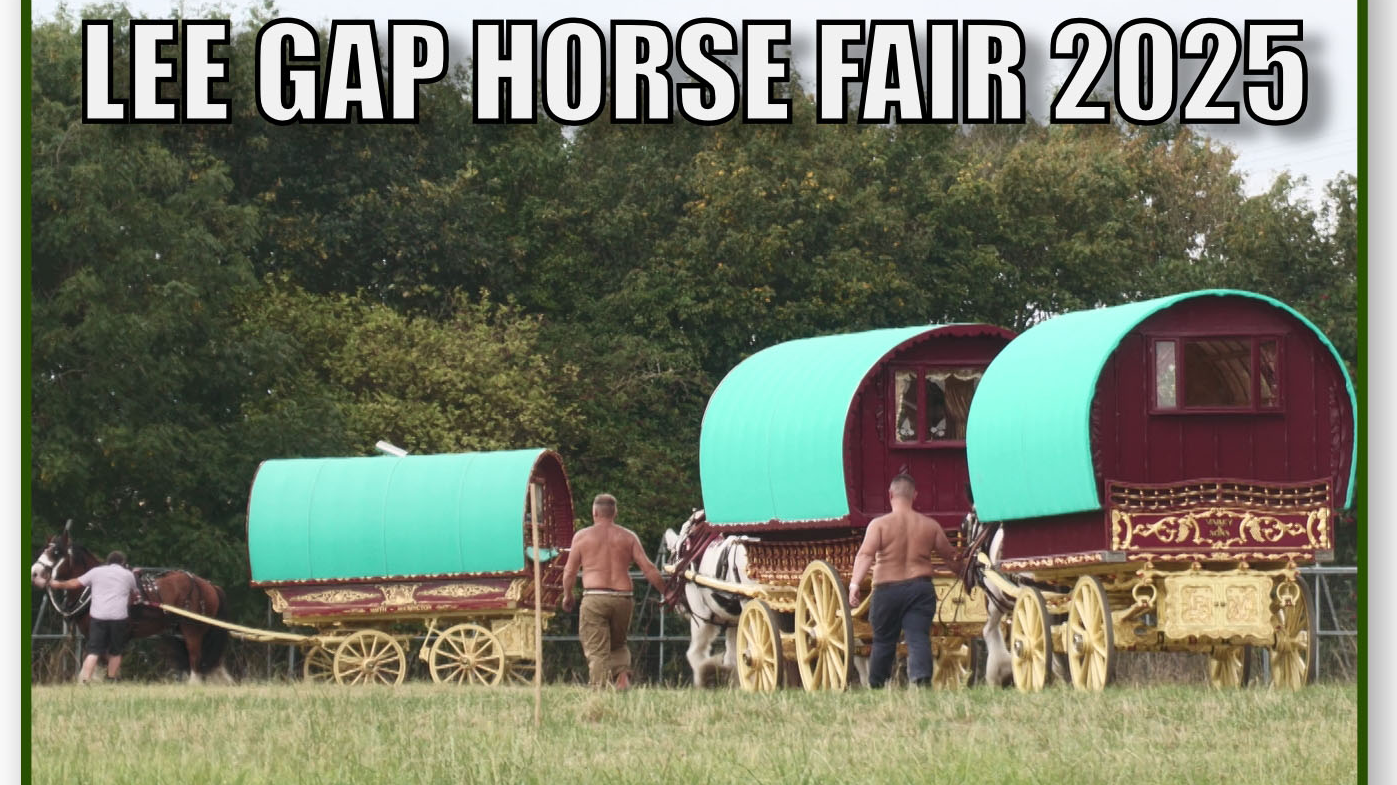 Lee Gap Horse Fair 2025
