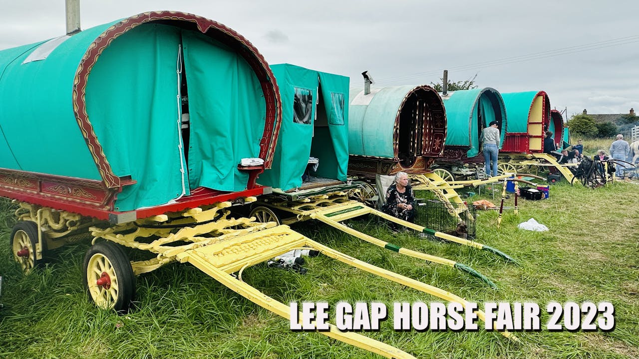 Lee Gap Horse Fair 2023