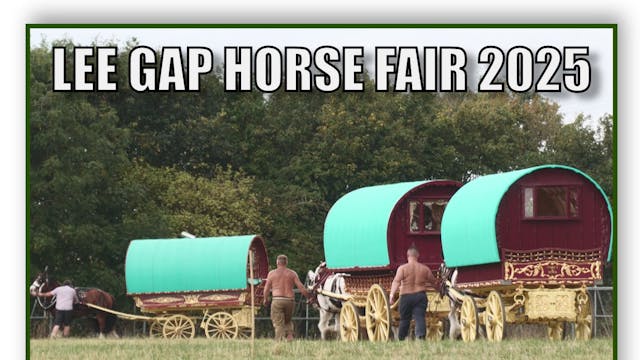 Lee Gap Horse Fair 2025