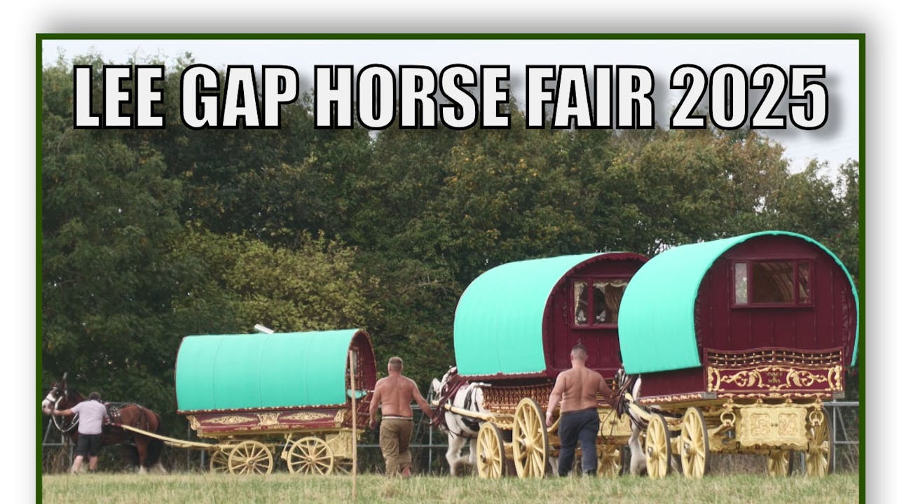 Lee Gap Horse Fair 2025