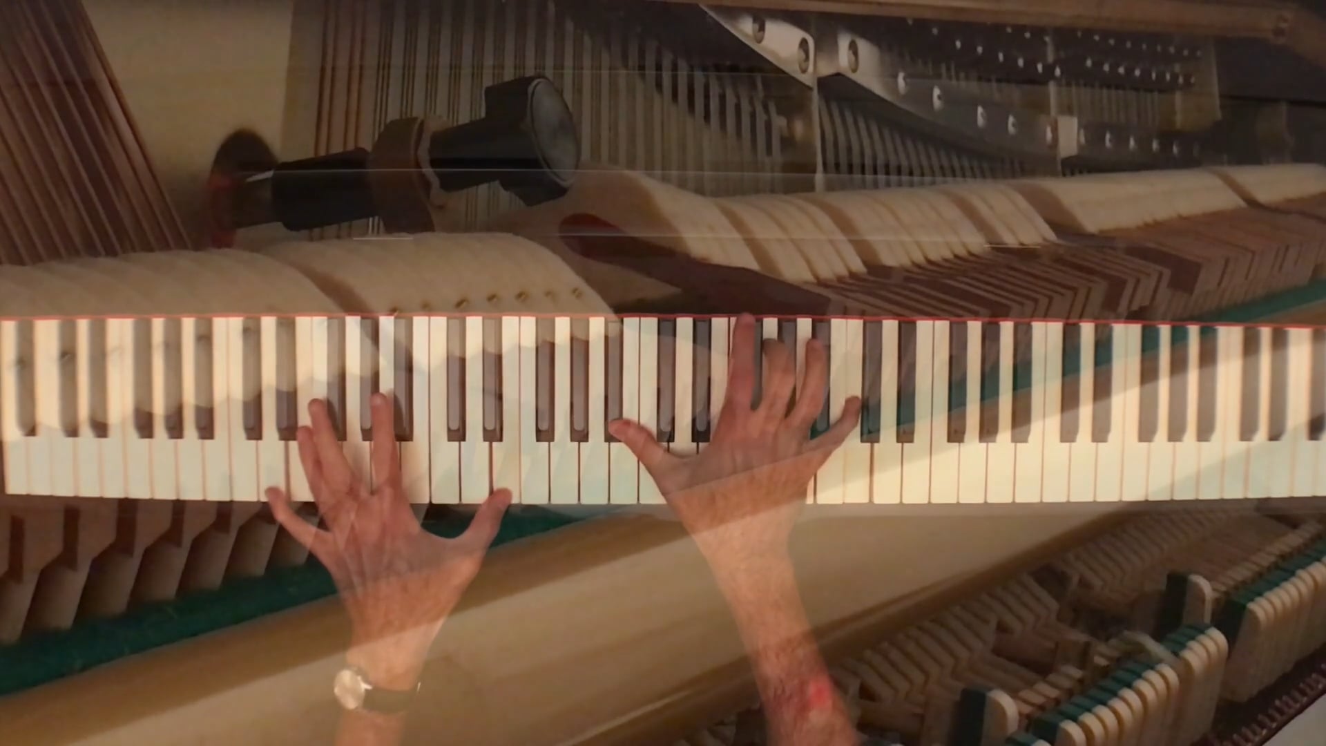 Lesson on "I'm Gonna Sing!"