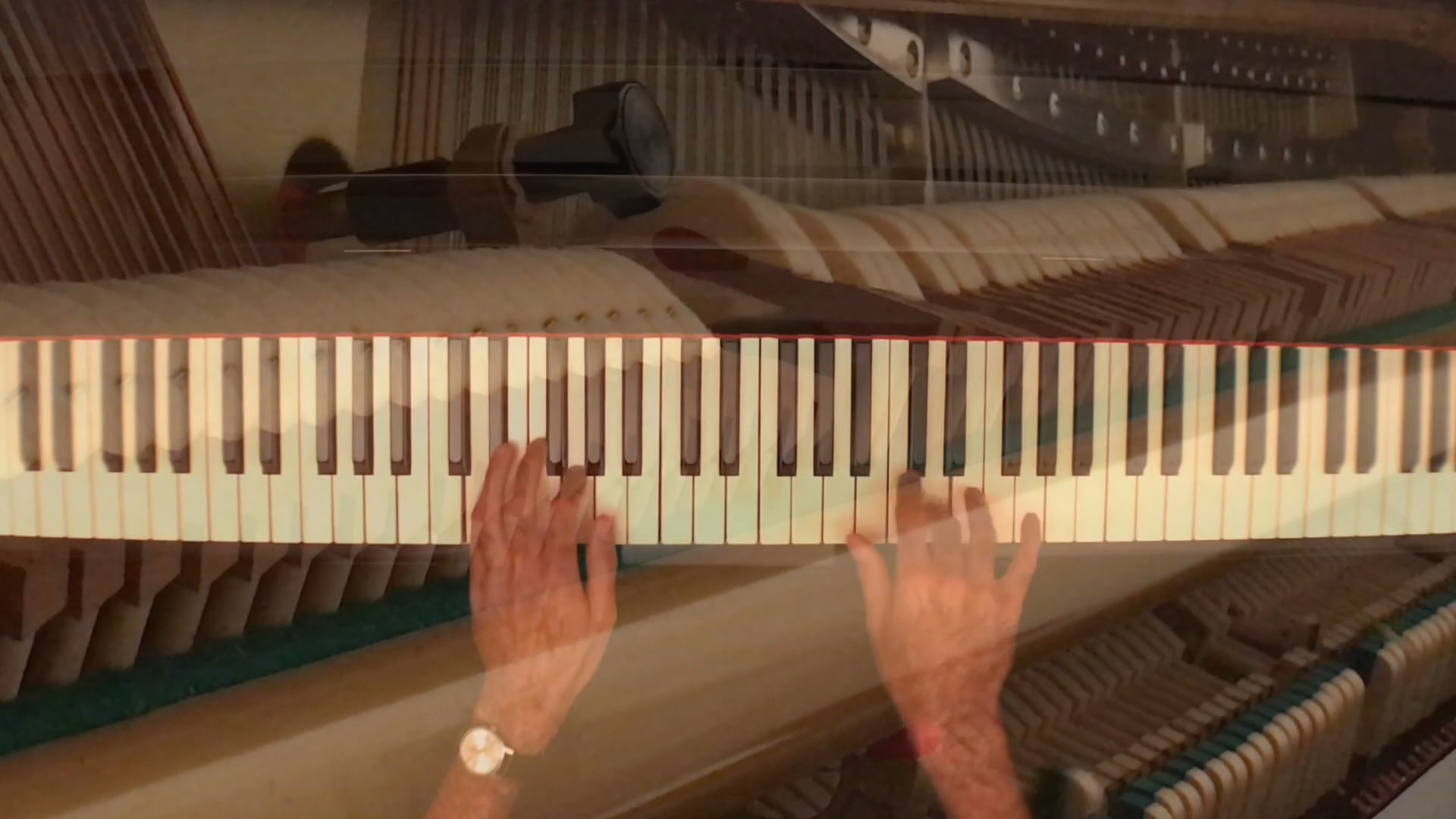 Lesson on "The Greatest Show on Earth!"