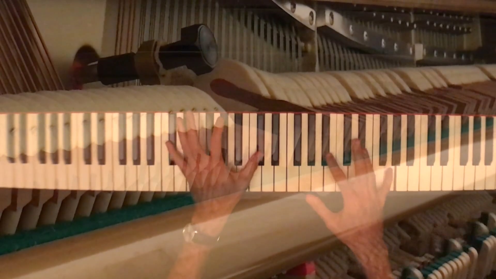 Lesson on "Shoo, Fly, Shoo!" and "Skip to My Lou!"